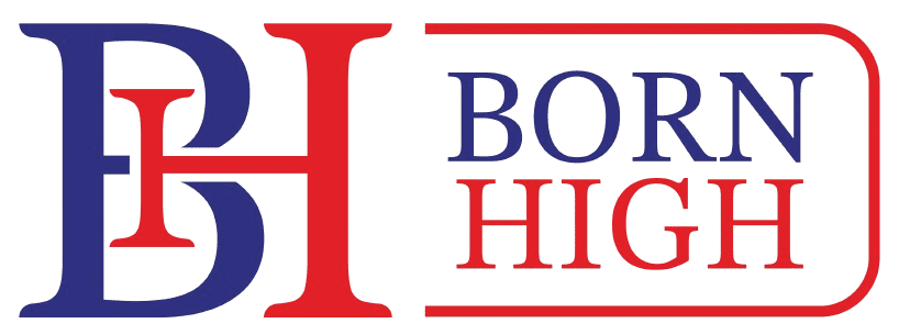 BORN HIGH LLC CO., LTD